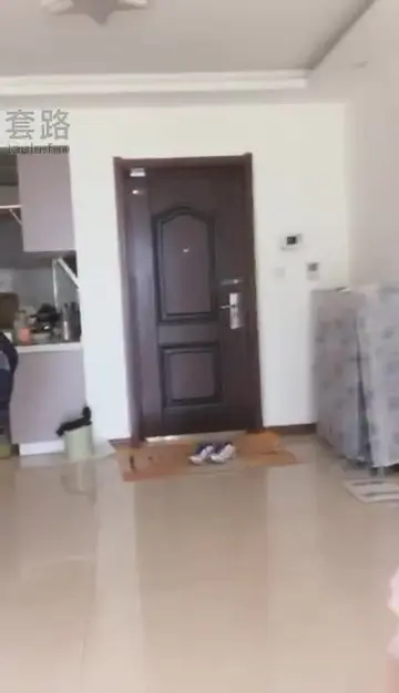 拳击狗脸晨练踩踩全体重头上跳舞爆