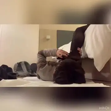 未知女主调教视频2