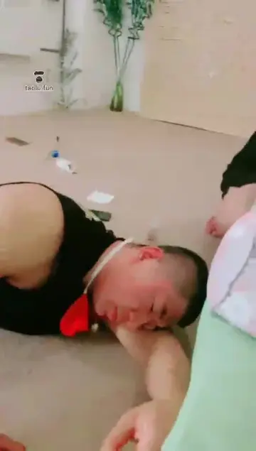 调狗