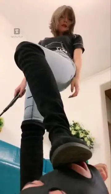 调个小乖狗