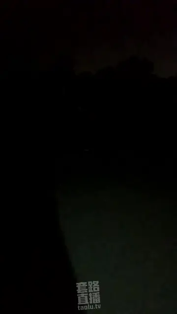 野外遛狗 野外学狗尿尿