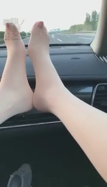 巡游