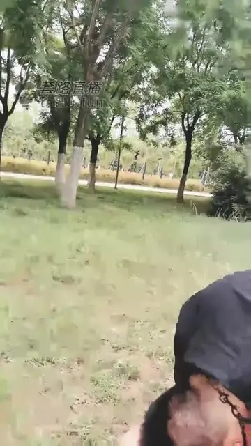户外虐家奴
