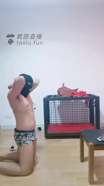 调教轻度贱狗