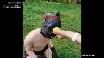 户外训练人型犬