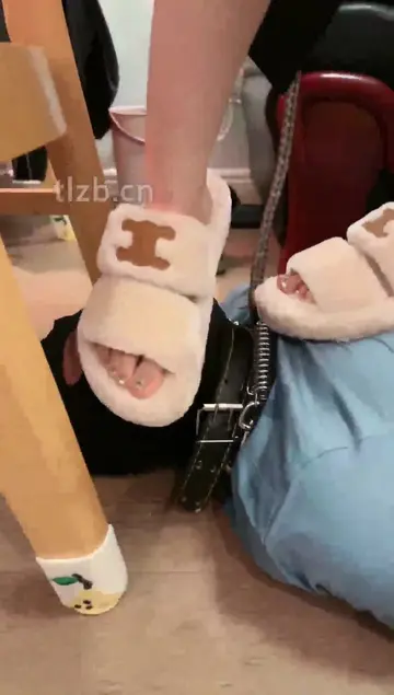 双S玩狗