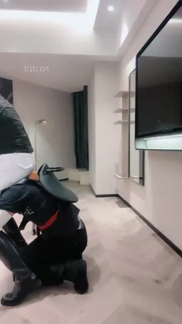 真骑士 骑马奴