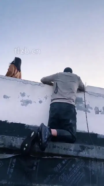 户外虐狗
