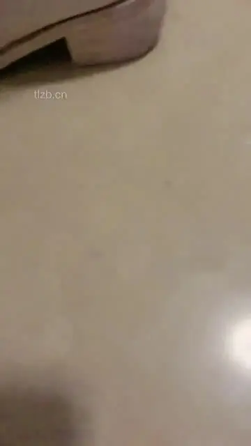 台球助教