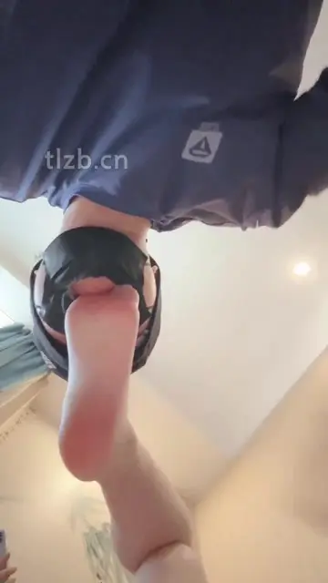 工具狗