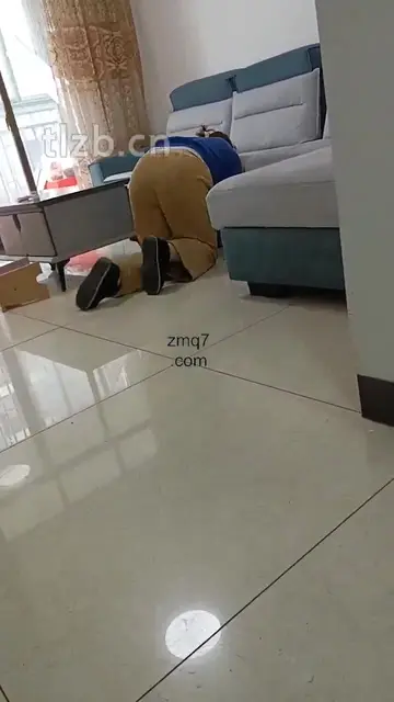 一起玩小黄