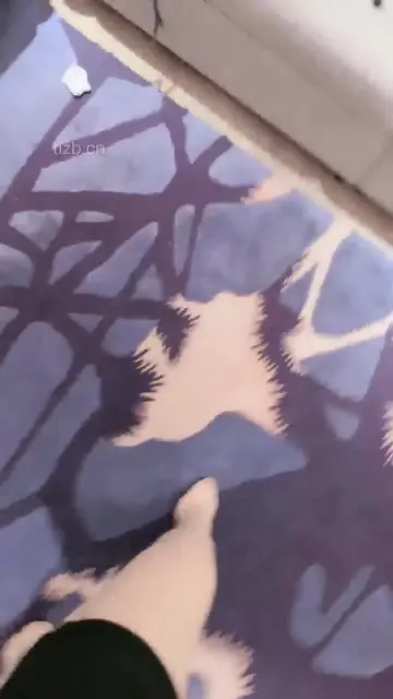 重度踩踏老狗