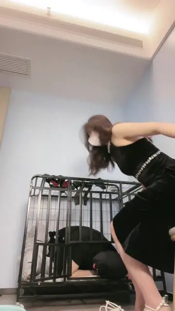 家奴圈养一周记录