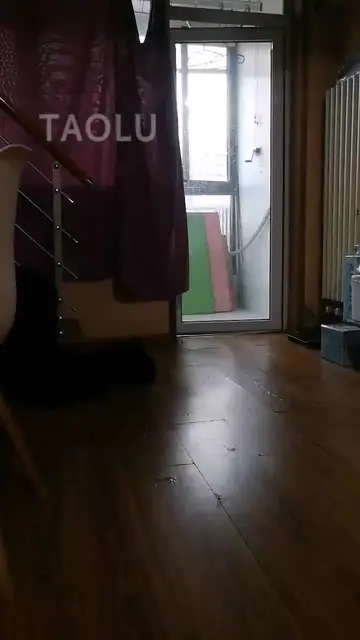 Net socks training dog slave